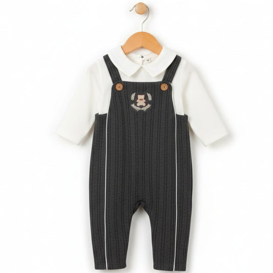 Bear Crest Pinstripe Gray Set