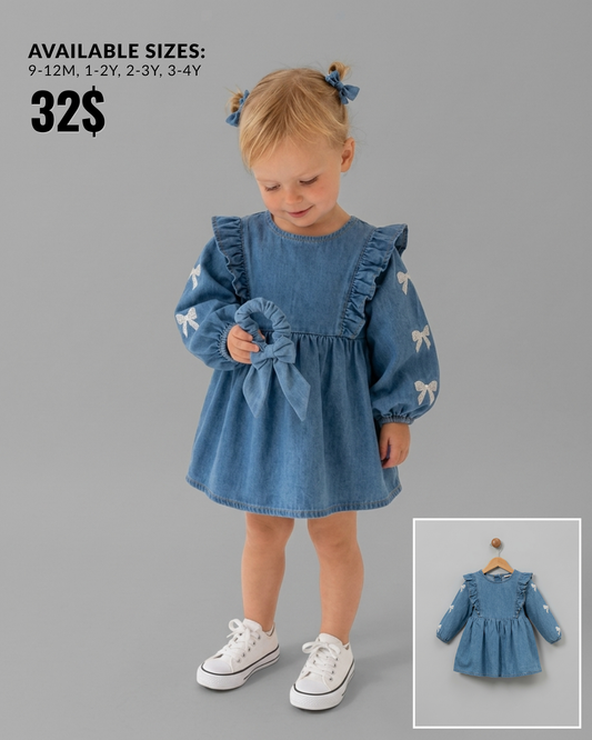 The Clementine Embroidered Denim Ruffle Dress – Blue