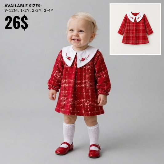 The Beatrice Floral Embroidered Plaid Dress – Holiday Red