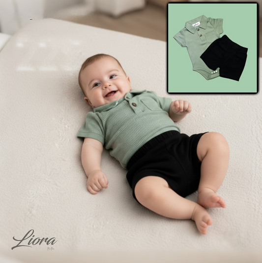 Little Cedar set