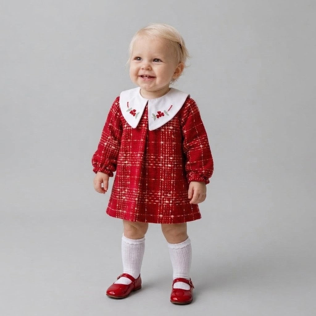 The Beatrice Floral Embroidered Plaid Dress – Holiday Red